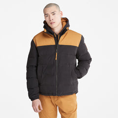 Welch Mountain Puffer Jacket for Men in Black Timberland On Sale