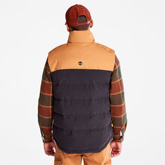 Welch Mountain Puffer Vest for Men in Black Timberland Online