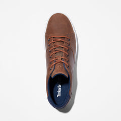 Adventure 2.0 Sneaker for Men in Brown Timberland Online