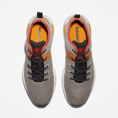 Sprint Trekker Trainer for Men in Grey Timberland Online