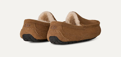 UGG Ascot Slipper for Men Chestnut