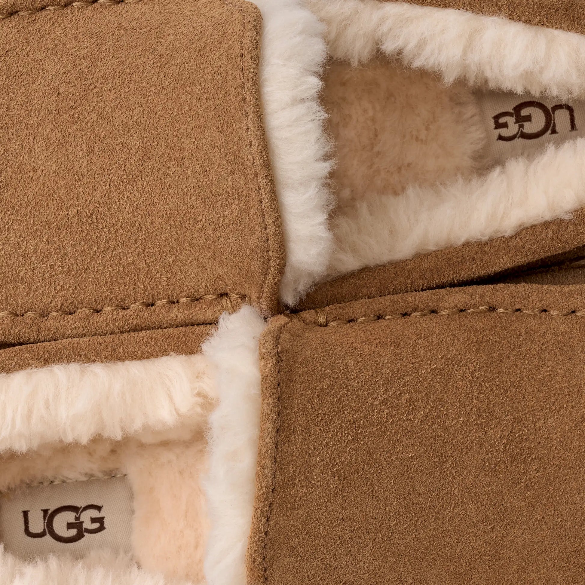 UGG Ascot Slipper for Men Chestnut