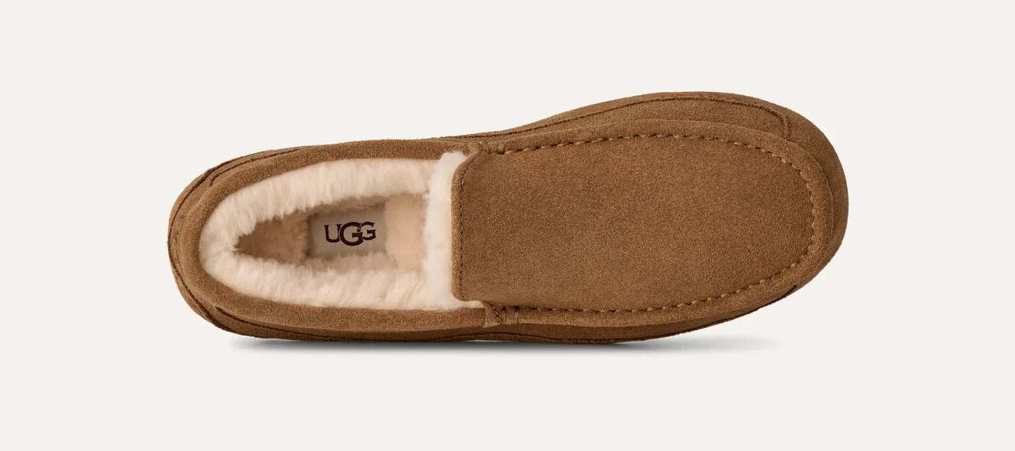 UGG Ascot Slipper for Men Chestnut