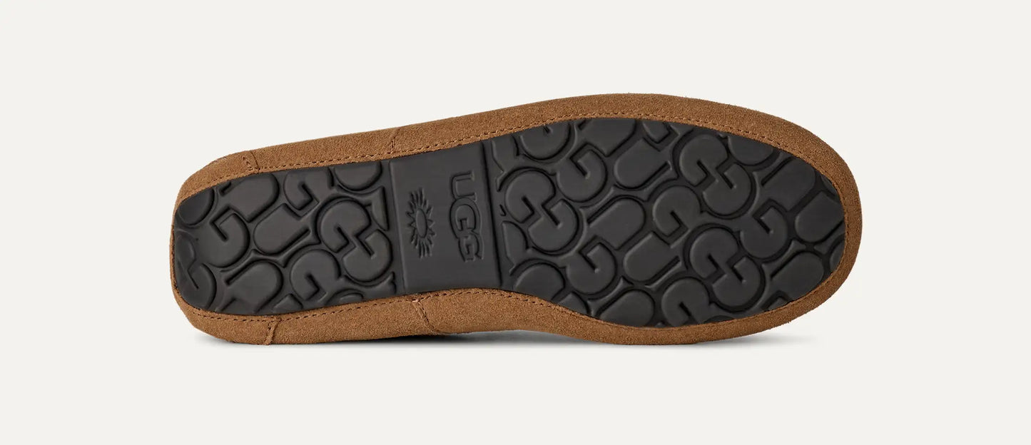 UGG Ascot Slipper for Men Chestnut