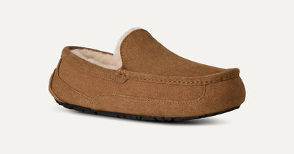 UGG Ascot Slipper for Men Chestnut