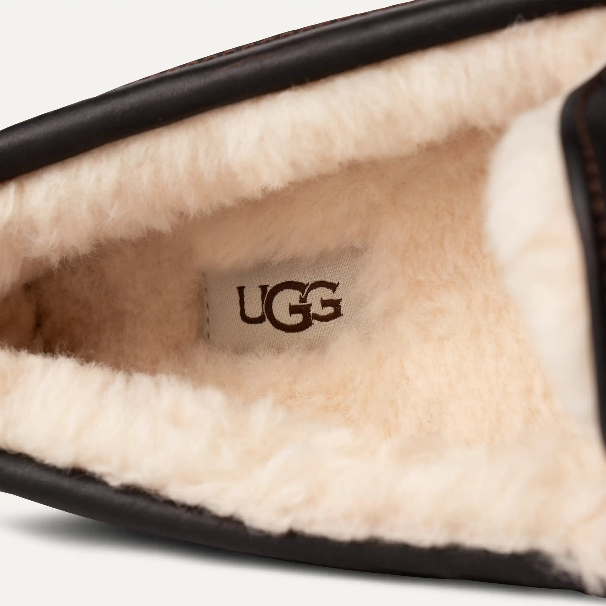 UGG Ascot Slipper for Men Dark Spice