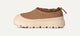 Chestnut / Whitecap
