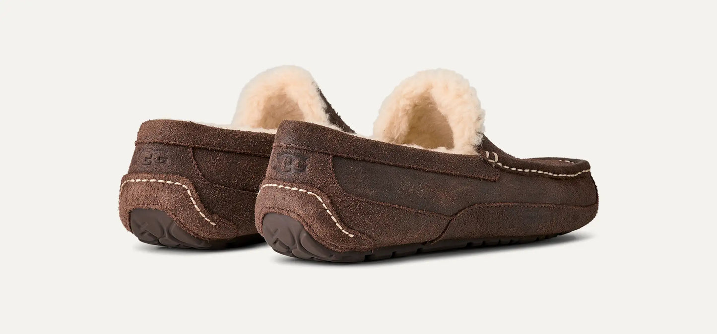 UGG Ascot Leather Distressed for Men Dusted Cocoa