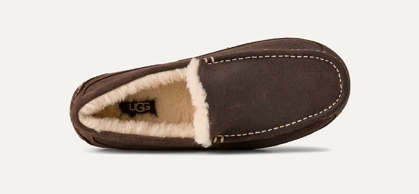 UGG Ascot Leather Distressed for Men Dusted Cocoa
