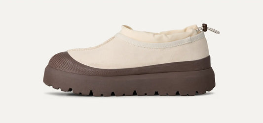 UGG Tasman Weather Hybrid Slipper for Men Jasmine / Molasses