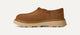 Chestnut