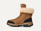 Chestnut