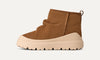 Chestnut / Whitecap