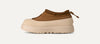 Chestnut / Whitecap