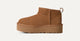 Chestnut