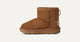 Chestnut