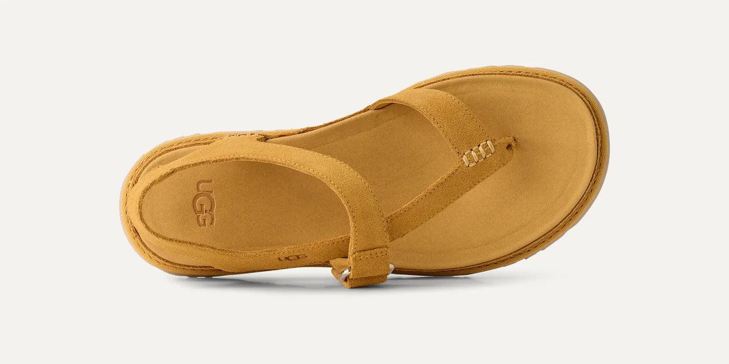 UGG UGG® GoldenGaze Toe Post for Women Wheat Field