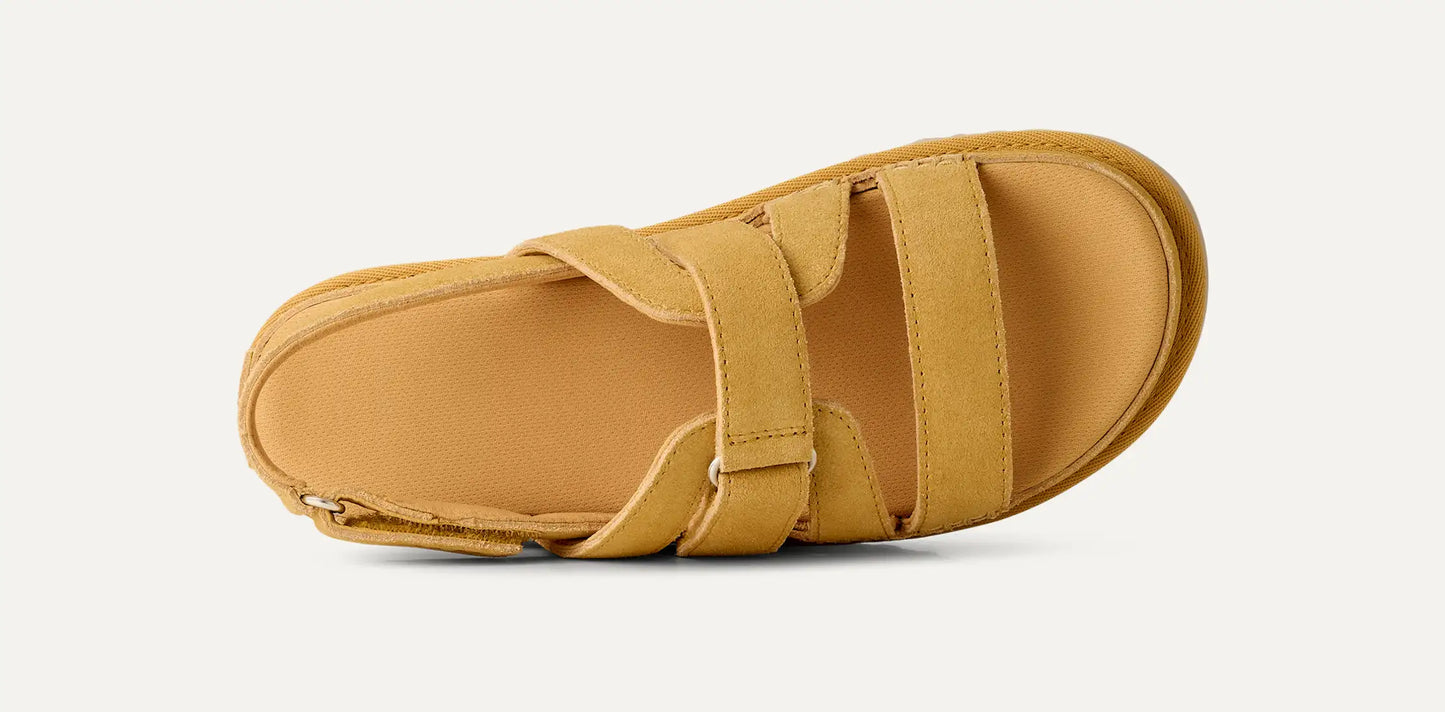 UGG Goldenstar Gleam Sandal for Women Wheat Field