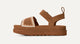 Chestnut