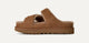 Chestnut