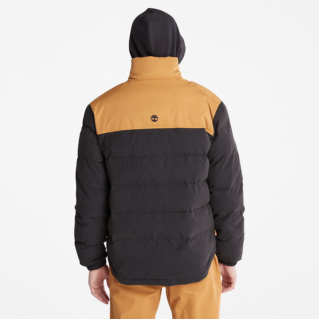 Welch Mountain Puffer Jacket for Men in Black Timberland On Sale
