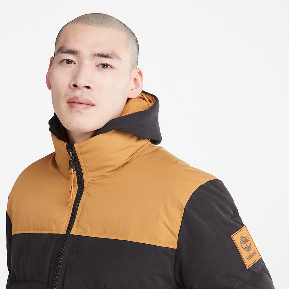 Welch Mountain Puffer Jacket for Men in Black Timberland On Sale