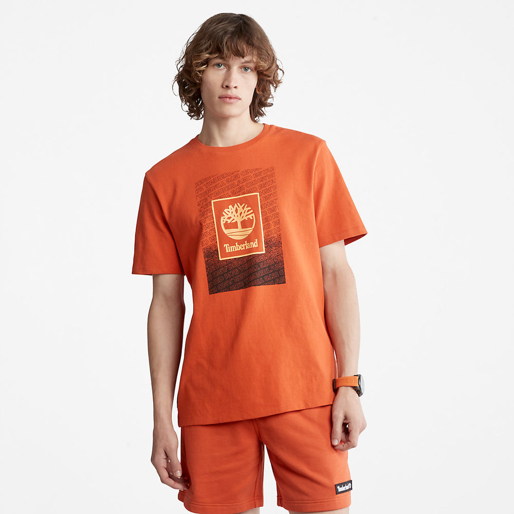 Outdoor Archive T-Shirt for Men in Orange Timberland On Sale
