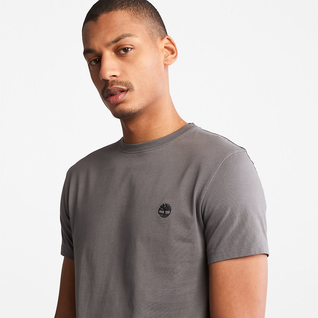 Dunstan River T-Shirt for Men in Grey Timberland Sale