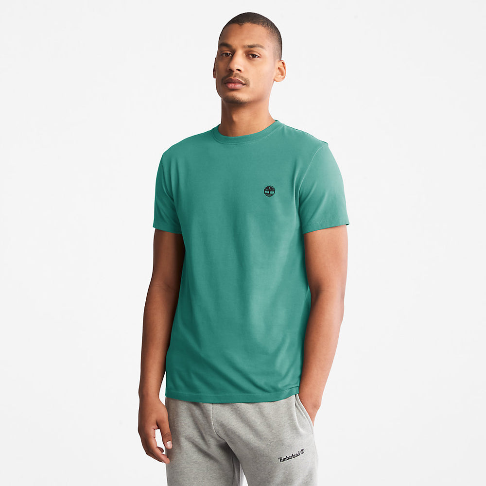 Dunstan River T-Shirt for Men in Green Timberland For Sale