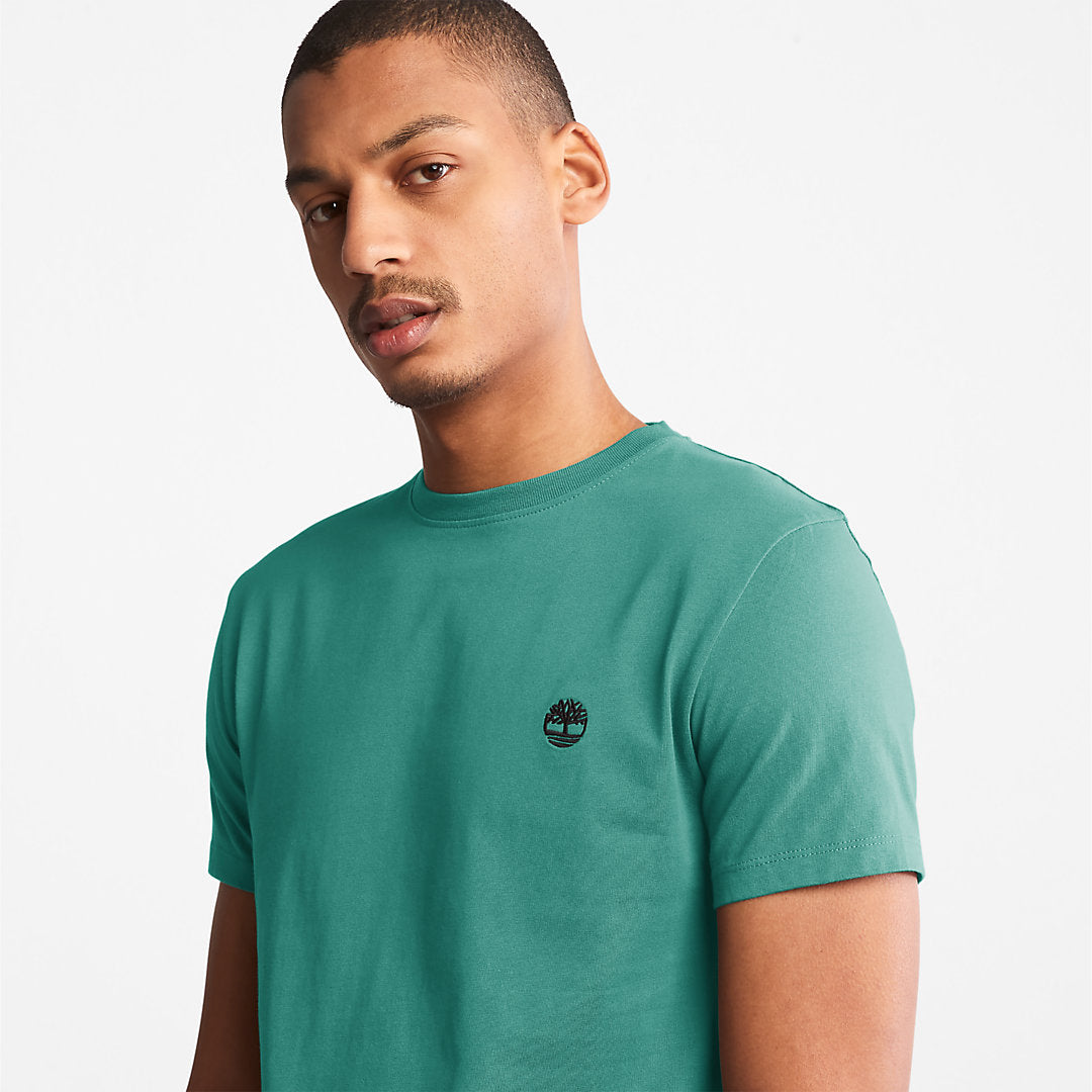 Dunstan River T-Shirt for Men in Green Timberland For Sale