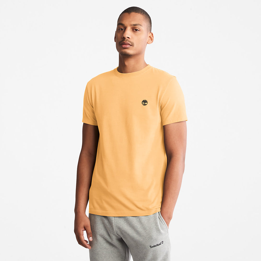 Dunstan River T-Shirt for Men in Yellow Timberland Online