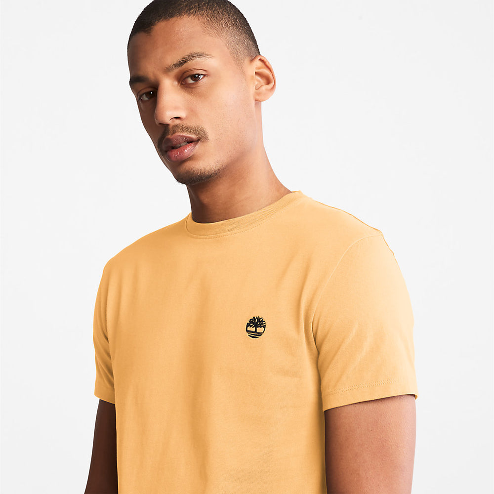 Dunstan River T-Shirt for Men in Yellow Timberland Online