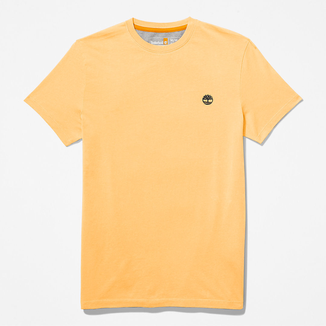Dunstan River T-Shirt for Men in Yellow Timberland Online