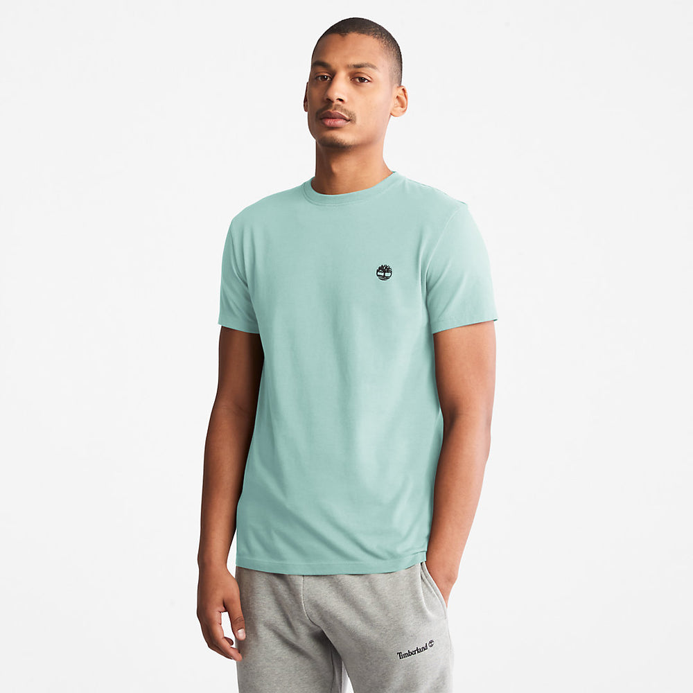 Dunstan River T-Shirt for Men in Light Green Timberland Discount