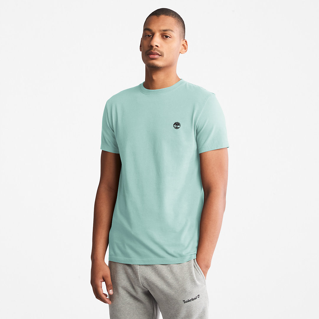 Dunstan River T-Shirt for Men in Light Green Timberland Discount
