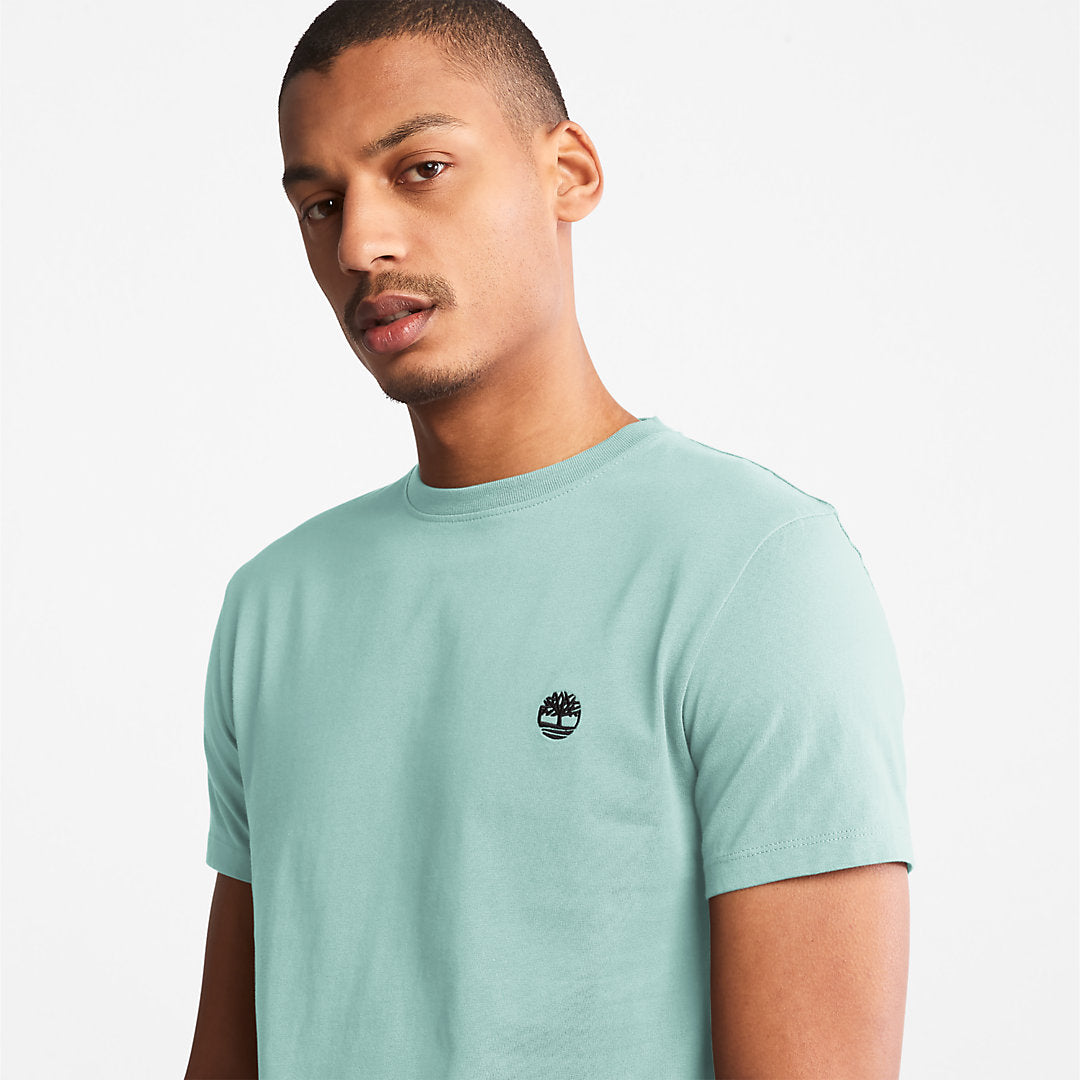 Dunstan River T-Shirt for Men in Light Green Timberland Discount