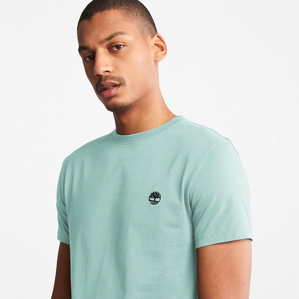 Dunstan River T-Shirt for Men in Light Green Timberland Discount