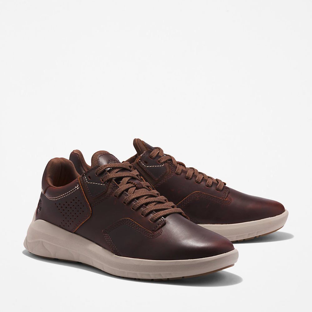 Bradstreet Ultra EK+ Trainer for Men in Dark Brown Timberland US