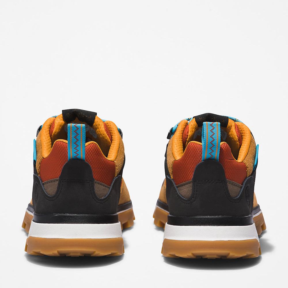 Treeline STR Trainer for Men in Brown Timberland Online