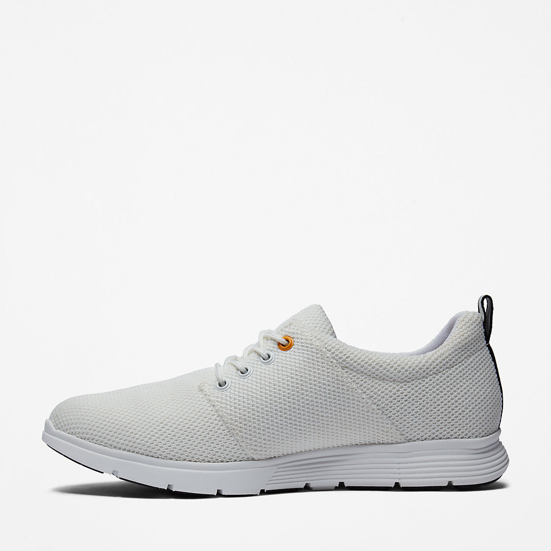 Killington Oxford Shoe for Men in White Timberland On Sale