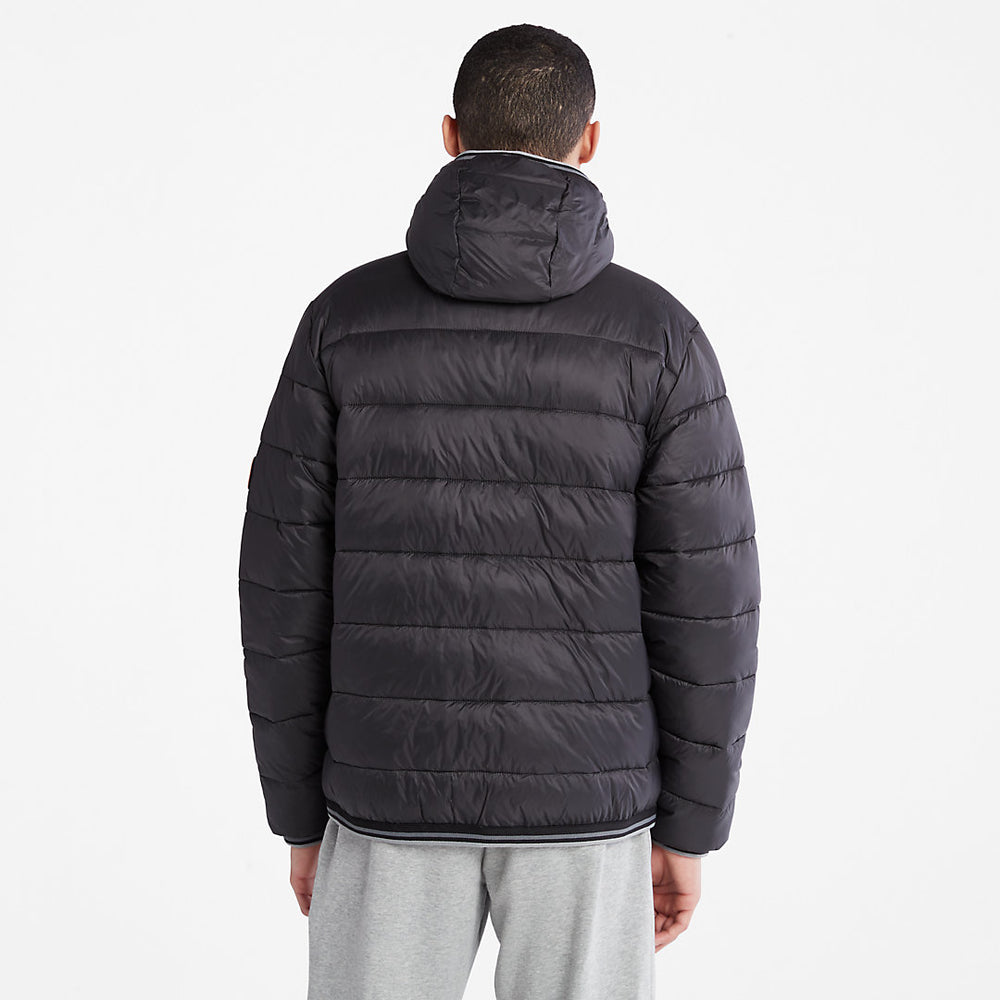 Garfield Hooded Puffer Jacket for Men in Black Timberland Discount