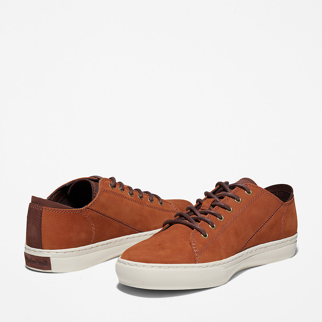 Adventure 2.0 Cupsole Oxford for Men in Brown Timberland US